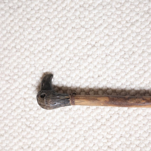 French Late 19th Century French Oak Cane With Carved Bird Head Handle For Sale - Image 3 of 3