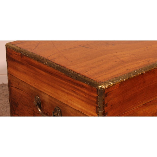 19th Century Marine Chest in Camphor Wood For Sale - Image 10 of 13
