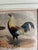 Realism Hand-Colored Print of Exotic Chickens For Sale - Image 3 of 7