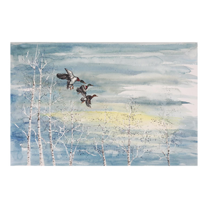 1979 Mallard Duck and Birch Trees Watercolor Painting