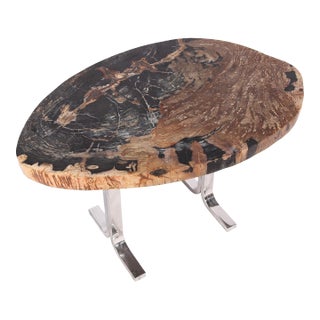One Slab Living Edge Petrified Wood Console Table W Stainless Stand 53 For Sale