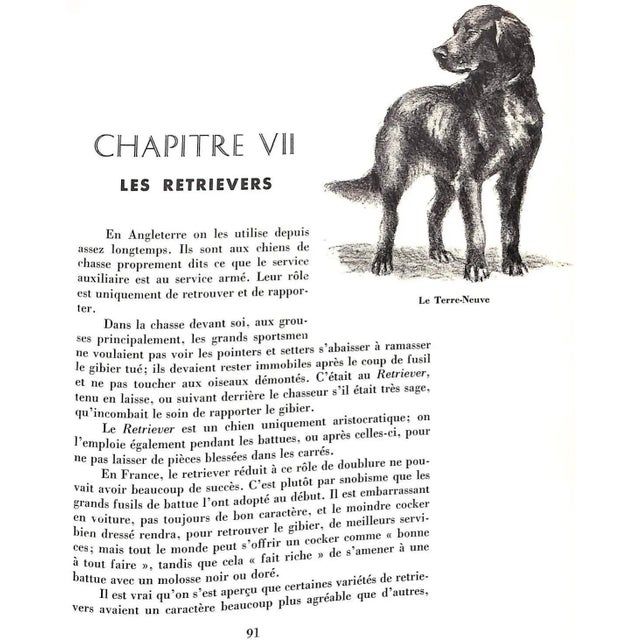 "Les Chiens D'Arret" 1971 Oberthur, J. For Sale - Image 10 of 12