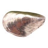 Silver Mussel-Shaped Pill Box For Sale
