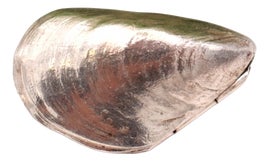 Example of Home Accents