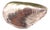 Silver Mussel-Shaped Pill Box For Sale