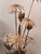 Sheet metal floor lamp with gold-patinated leaves and white enameled flowers. Ca 1990, sourced in France. Measurements: H...