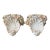 Vintage Coastal Seashell Encrusted Wall Bracket a Pair For Sale