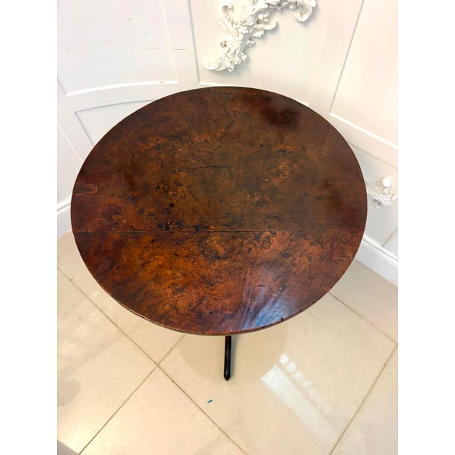 Late 18th Century Antique Georgian Burr Oak Tripod Tilt Top Occasional Table, 1780 For Sale - Image 5 of 14