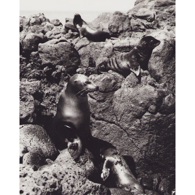 Hanna Seidel (1925 to 2005) lived and worked in Argentina for many years. She was a world traveller, journeying to South...