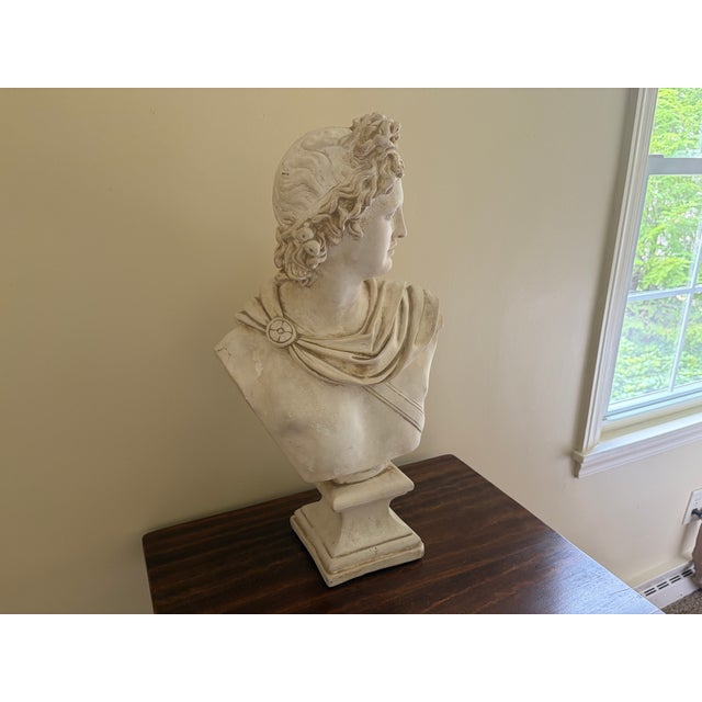 Late 20th Century Large Neoclassical Plaster Bust of Apollo Belvedere For Sale - Image 4 of 12