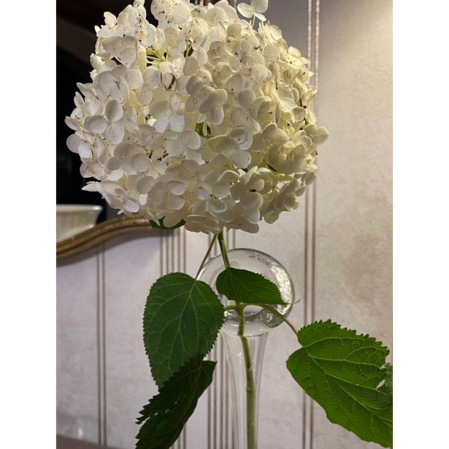 Vintage Mid-Century Hand Blown Clear Glass Bullicante Bud Vase For Sale In Chicago - Image 6 of 10