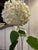 Vintage Mid-Century Hand Blown Clear Glass Bullicante Bud Vase For Sale In Chicago - Image 6 of 10