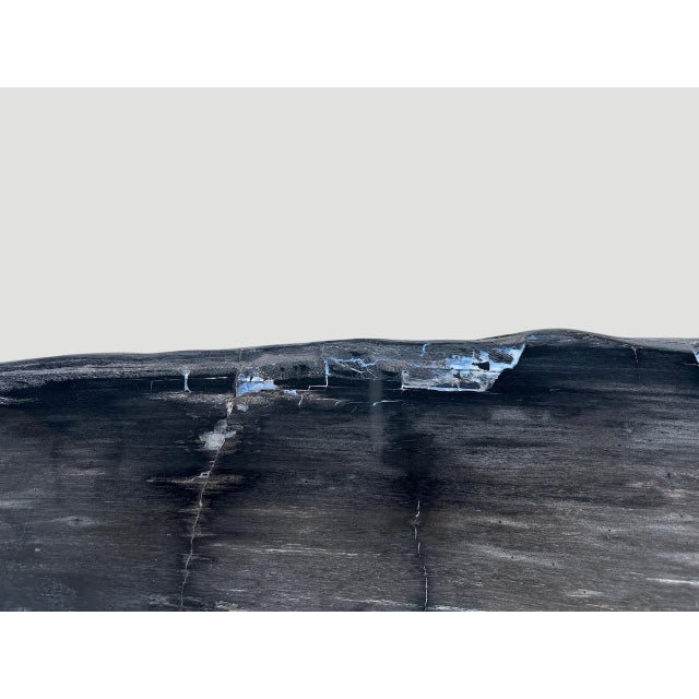 Andrianna Shamaris Exquisite High Quality Petrified Wood Dining Table Or Console For Sale - Image 9 of 18