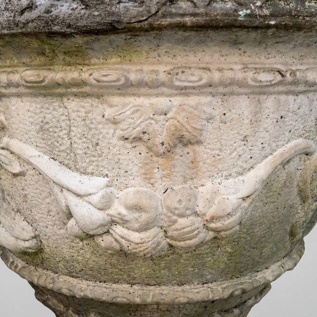 Beige Large Medici Garden Basin, Early 20th Century For Sale - Image 8 of 14