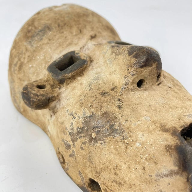 Early 20th Century Early 20th Century Nyanga Wooden Mask For Sale - Image 5 of 6
