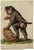 An original c.1820 gouache painting, Leopold Billek, Baboon Monkey.A captivating original drawing by the Bohemian/Moravian...