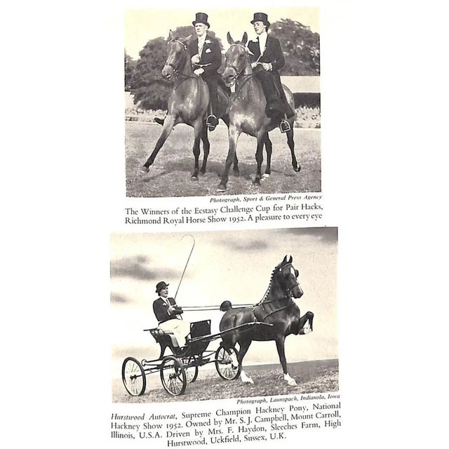 "Clothes and the Horse: A Guide to Correct Dress for All Riding Occasions" 1953 Barney, Sydney D. For Sale - Image 11 of 13