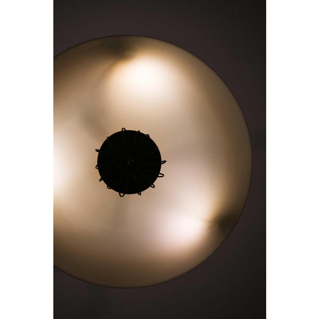 Brass and Glass Ceiling Lamp by Paavo Tynell for Taito Oy, 1950s For Sale - Image 6 of 8