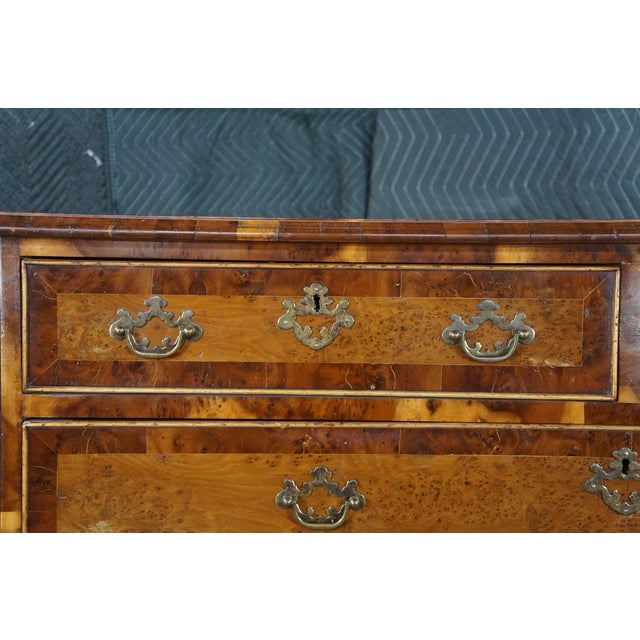 Late 19th Century Antique English George II Style Oyster Burl Yew Bachelors Chest Dresser Commode For Sale - Image 5 of 18