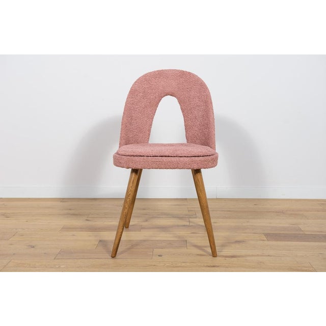 Dining Chairs by Antonín Šuman for Tatra, 1960s, Set of 4 For Sale - Image 13 of 18