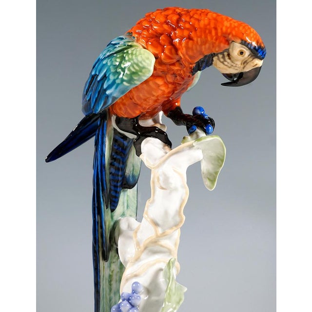 1950s Large Mid-Century Porcelain Macaw on Trunk from Rosenthal, Germany, 1957 For Sale - Image 5 of 9