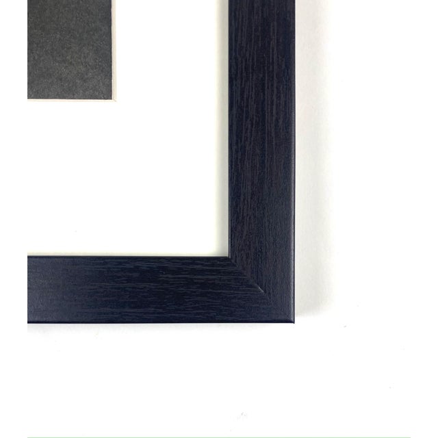 Exquisite Botanical photogravure from famed Urformen Der Kunst portfolio by Blossfeldt . Karl Blossfeldt (1865 - 1932) was...