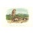 1851 Audubon Quadruped Octavo Lithograph "Plate 99 Prairie Dog (Prairie Marmot Squirrel)" For Sale