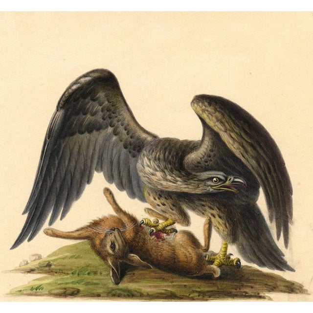 Golden Eagle Attacking a Hare, Early 19th Century, Watercolour For Sale - Image 3 of 3