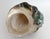 Shell Rare Turbo Marmoratus Shell For Sale - Image 7 of 9