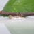 Demantoid Garnet Ring With Earth-Mined Diamond Accents: Solid 14k Gold, 4.25mm, Size 6.75 For Sale In Columbus - Image 6 of 9