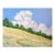 North Hill Sonoma Lynne French 11x14 California Landscape Oil Painting For Sale