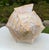Hollywood Regency Vintage Oversized Hand-Painted Oversized Conch Shell Sculpture For Sale - Image 3 of 12