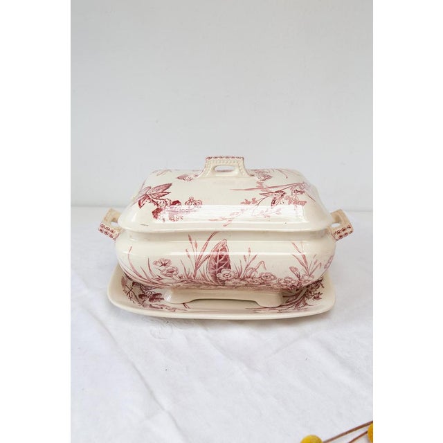 Antique English Tureen with Plate Francis & Co Primrose C., 1860 For Sale - Image 13 of 13