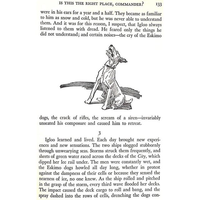 "Igloo" 1931 Walden, Jane Brevoort For Sale - Image 9 of 12