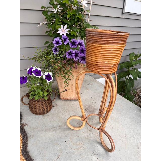 Vintage Mid Century Crespi Style Pencil Reed Rattan Pedestal Bamboo Planter Italian Amazing Vintage Find Pedestal Bamboo...