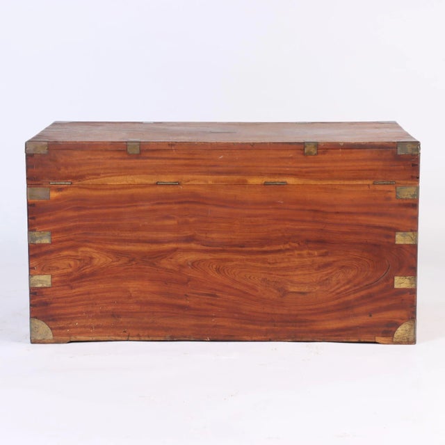 Wood Late 19th Century Campaign Marine Chest in Camphor Wood For Sale - Image 7 of 9