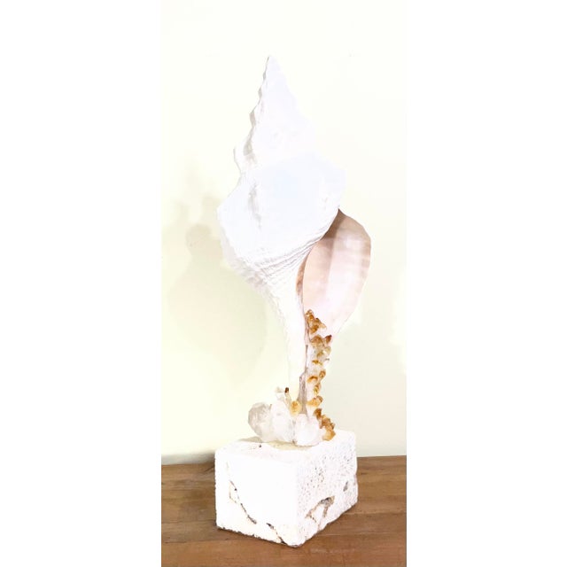 Handcrafted Marine & Mineral Sculpture by Joseph Malekan For Sale - Image 13 of 18