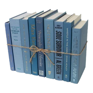 Decorative Books - Marlin Book Bundle - 1 Foot of Blue Books