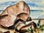 Henry Emil Salloch Original Watercolor on Paper Boulders by the Shore. For Sale - Image 4 of 6