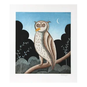 Owl by Thomas McKnight