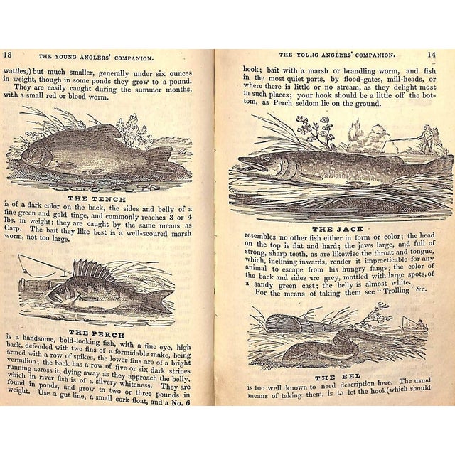 Early 19th Century "The Young Anglers' Companion" 1830 For Sale - Image 5 of 11