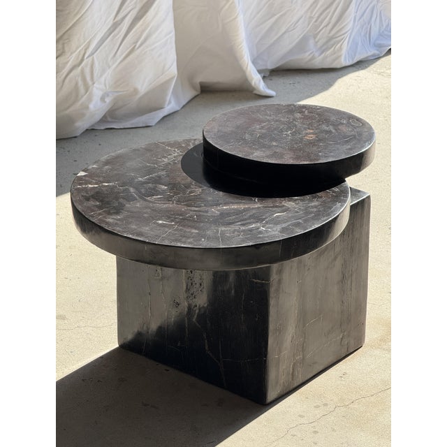 Coffee Table in Brown Petrified Wood with Double Circular Top on Cubic Base, Indonesia, 1980s For Sale - Image 13 of 16