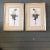 Wood Gallery Wall Collection-2 Vintage Butterfly Wing Parrot Collages in Custom Frames-A Pair For Sale - Image 7 of 7