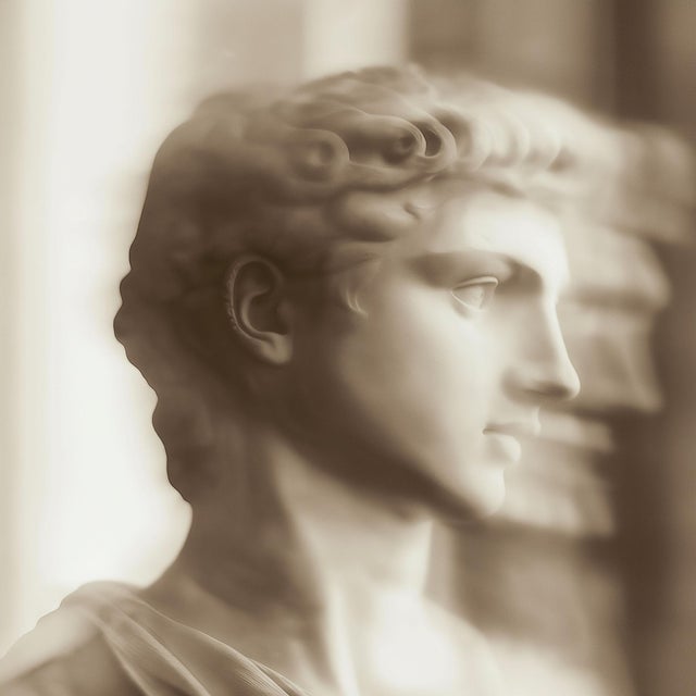 Set of 18 - Gallery Wall Photograph Prints 'Blurred Antique Profiles', Unframed For Sale - Image 6 of 18