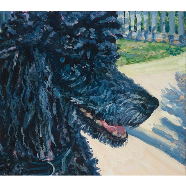 Title: Black Poodle in Afternoon Light Black Poodle in Afternoon Light captures a quiet, familiar moment — the calm...
