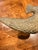 Vintage Brass Eagle perched on a branch with its wings partially extended. Great Item for bird enthusiasts and Americana...