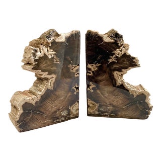 Mid 20th Century Petrified Wood Bookends - a Pair For Sale