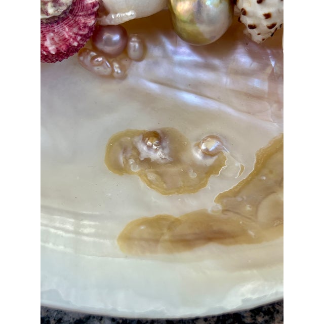 Contemporary CSS Small Seashell Catchall Dish For Sale - Image 3 of 6