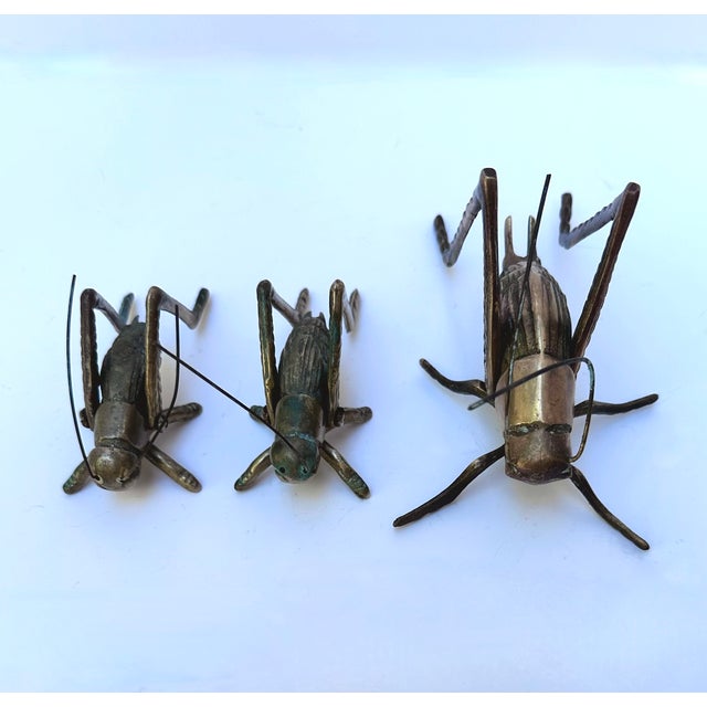Vintage Brass Grasshoppers, Set of 3 For Sale - Image 4 of 5