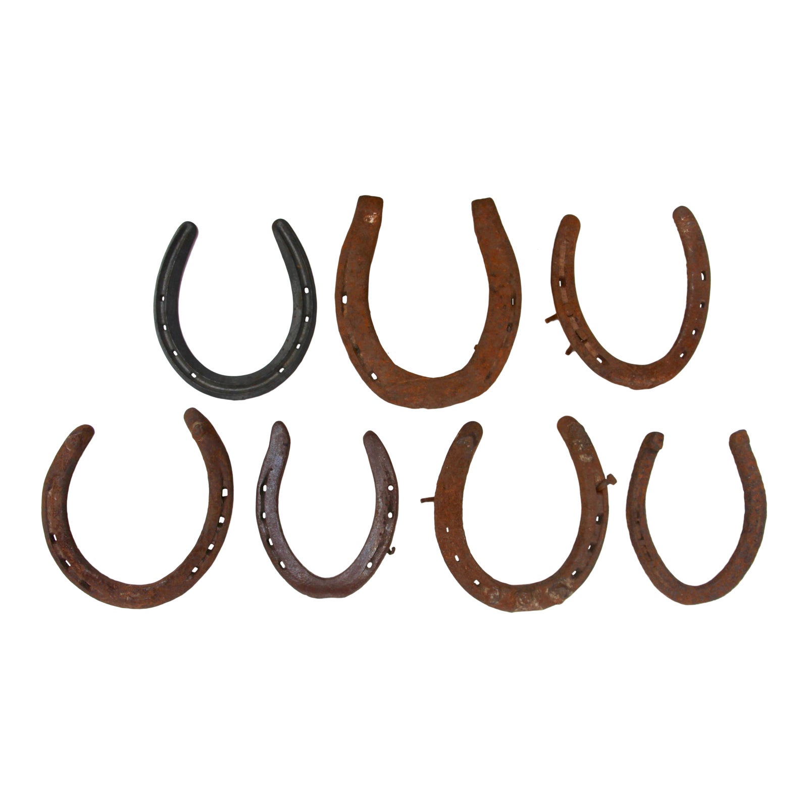 Iron Horseshoe Collection Set of 7 Chairish